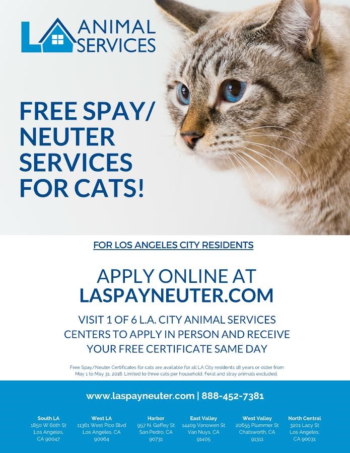 Free Spay/Neuter Services for Cats!